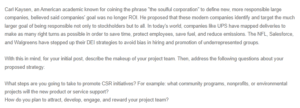 Discussion - CSR and DEI in Your Project Team