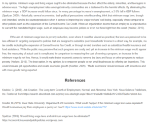 Discussion Response - Should Minimum Wage and Living Wage Laws be Eliminated.