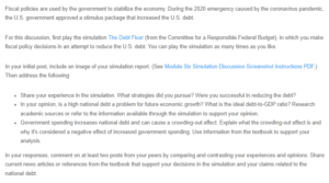 Fiscal Policy Simulation