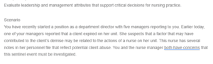 Leadership and Decision-Making in Nursing Practice- Addressing Sentinel Events and Ensuring Accountability