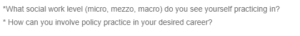 Navigating Social Work Levels= Integrating Policy Practice into Micro, Mezzo, or Macro Roles