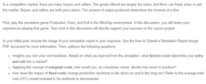 Simulation Discussion - Production, Entry, and Exit