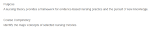 Theories Guiding Nursing Practice