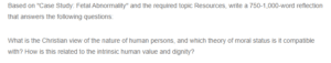 Christian View on Moral Status-Theory of Moral Agency
