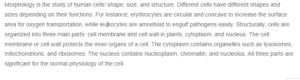 Response-Understanding Cell Morphology- Structure Function and Organizational Components