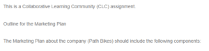 Outline for the Path Bikes Marketing Plan