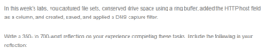 Analyzing Network Traffic with Wireshark- A Reflection on Filtering and Data Organization