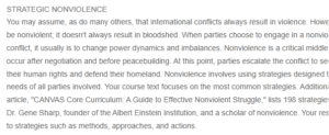 The Power of Nonviolence- Bridging Negotiation and Peacebuilding