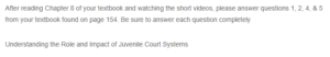 Understanding the Role and Impact of Juvenile Court Systems