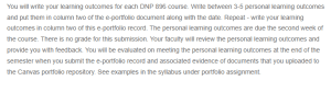 E-Portfolio Record of DNP Program Outcomes-DNP Essential and Personal Student Learning Outcomes