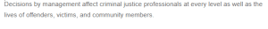 Ethical Decision-Making in Juvenile Justice - Analyzing a Case of a Juvenile Tried as an Adult