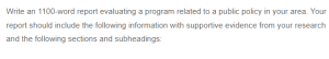 Evaluating Public Policy Programs - An In-Depth Analysis and Assessment