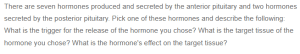 Exploring Hormonal Regulation - A Focus on the Anterior Pituitary Role in Body Function