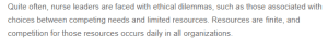 Organizational Policies and Practices to Support Healthcare Issues