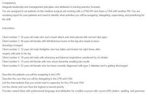 Assigning, Delegating, Supervising, and Prioritizing Care
