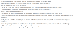 Concerns of Uninsured/Underinsured Populations