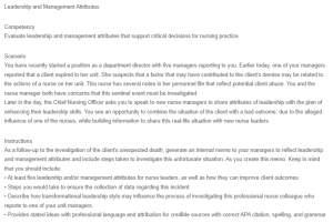 Leadership and Management Attributes in Nursing Practice