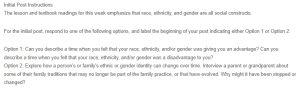 Discussion - Changes in Ethnicity