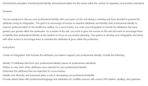 Infographic - Professional Identity