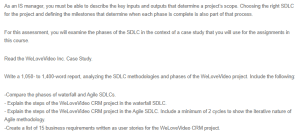SDLC Methodologies Phases Analysis Report for WeLoveVideo, Inc