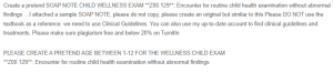 SOAP Note - Wellness Child Exam