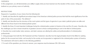 Structure and Challenges of the U.S. Criminal Justice System