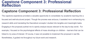 Capstone Component 3: Professional Reflection