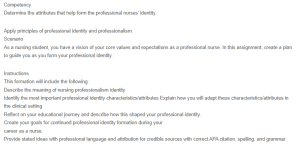 Creating Your Professional Identity