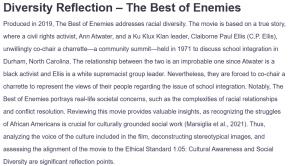Diversity Reflection – The Best of Enemies