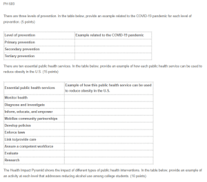 Levels of Prevention and Public Health Services