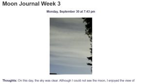 Moon Journal Week 3
