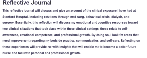 Reflective Journal