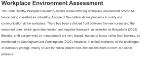 Workplace Environment Assessment