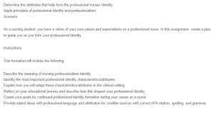 Creating Professional Identity - Nursing