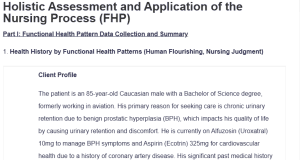 Holistic Assessment and Application of the Nursing Process (FHP)