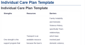 Individual Care Plan Template