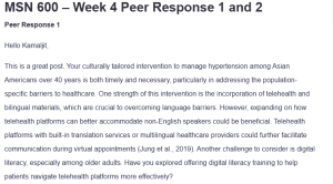MSN 600 – Week 4 Peer Response 1 and 2
