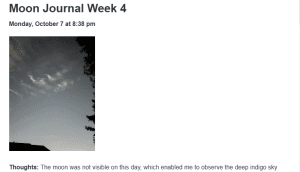 Moon Journal Week 4