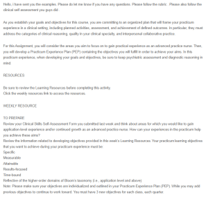 Practicum Experience Plan