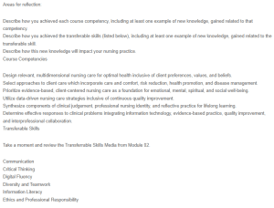 Reflective Essay on Nursing Practice Competencies and Skills