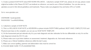 SOAP Note - Newborn Wellness
