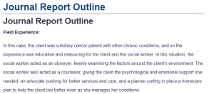 Journal Report Outline
