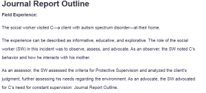Journal Report Outline