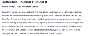 Reflective Journal Clinical II