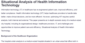 Situational Analysis of Health Information Technology