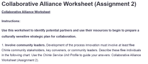 Collaborative Alliance Worksheet (Assignment 2)