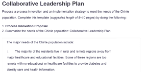 Collaborative Leadership Plan