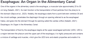 Esophagus: An Organ in the Alimentary Canal