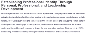 Establishing Professional Identity Through Personal, Professional, and Leadership Development