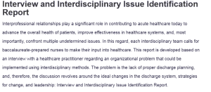 Interview and Interdisciplinary Issue Identification Report